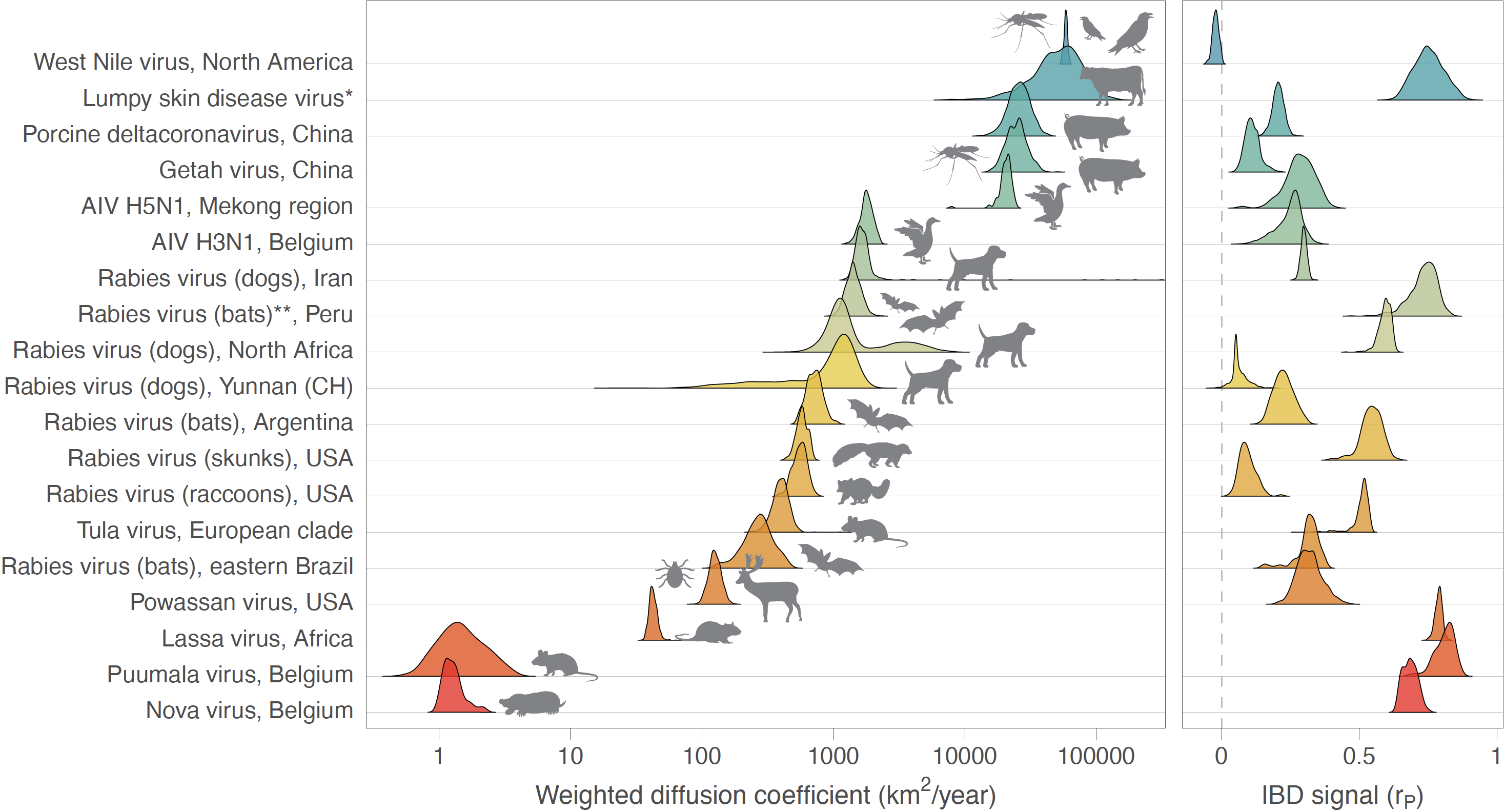 Figure Map